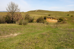 Élőhelykezelés a gyurgyalagokért (Hajmáskér)