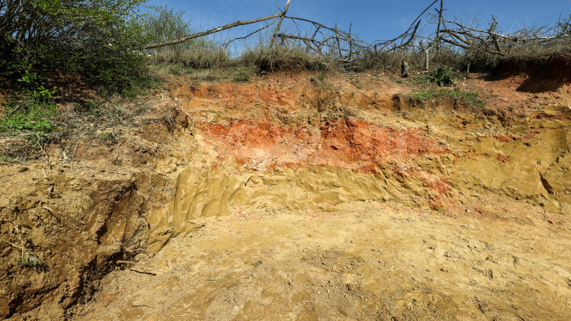 Élőhelykezelés a gyurgyalagokért (Hajmáskér)
