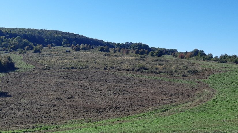 Élőhelyrekonstrukcióval a biodiverzitásért a bakonyi gyepeken
