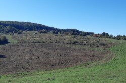 Élőhelyrekonstrukcióval a biodiverzitásért a bakonyi gyepeken