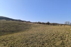 Élőhelyrekonstrukcióval a biodiverzitásért a bakonyi gyepeken