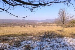 Élőhelyrekonstrukcióval a biodiverzitásért a bakonyi gyepeken