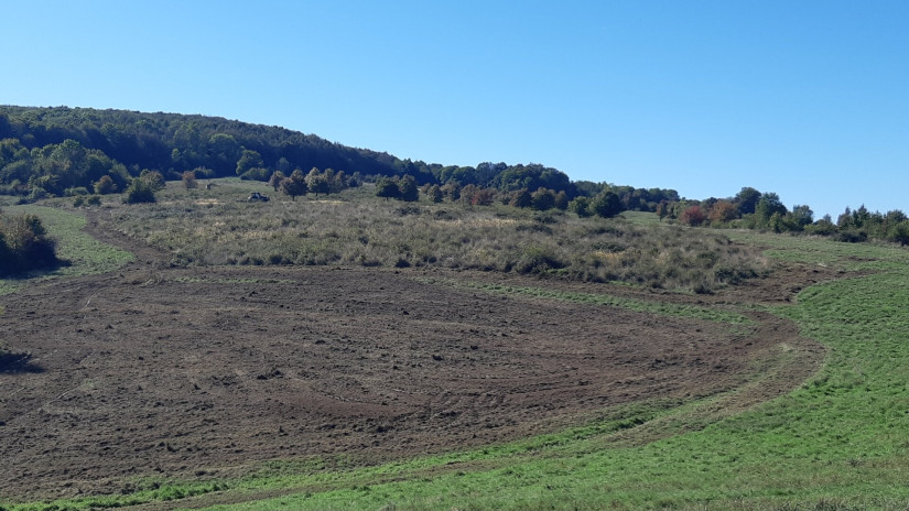 Élőhelyrekonstrukcióval a biodiverzitásért a bakonyi gyepeken