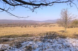 Élőhelyrekonstrukcióval a biodiverzitásért a bakonyi gyepeken