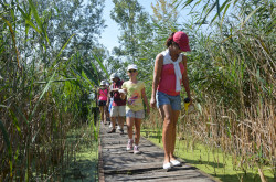 Fachkundig gefürhrte Tour