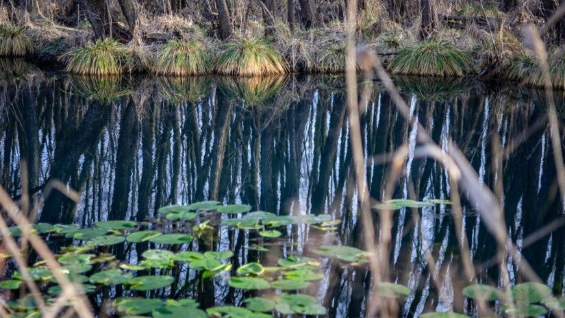 Február másodika a Vizes Élőhelyek Világnapja