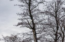 Február másodika a Vizes Élőhelyek Világnapja