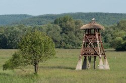 Feltárulnak hazánk természeti értékei a Nemzeti Parkok Hetén