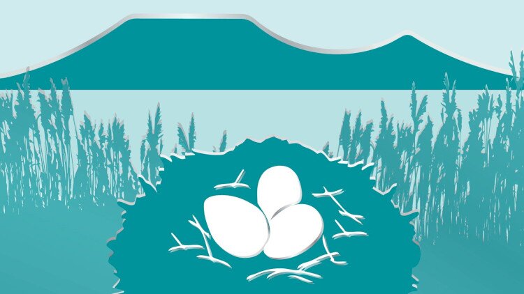 Ünnepi nyitvatartás – Húsvét 2026