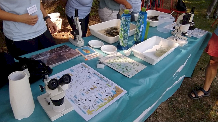 Fesztivál a kertben! 