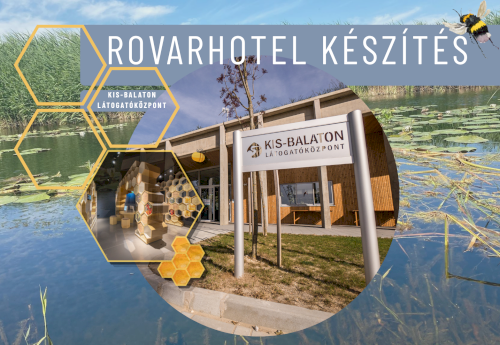Fókuszban a gyakorlati természetvédelem - Rovarhotel készítés 2026-07-10
