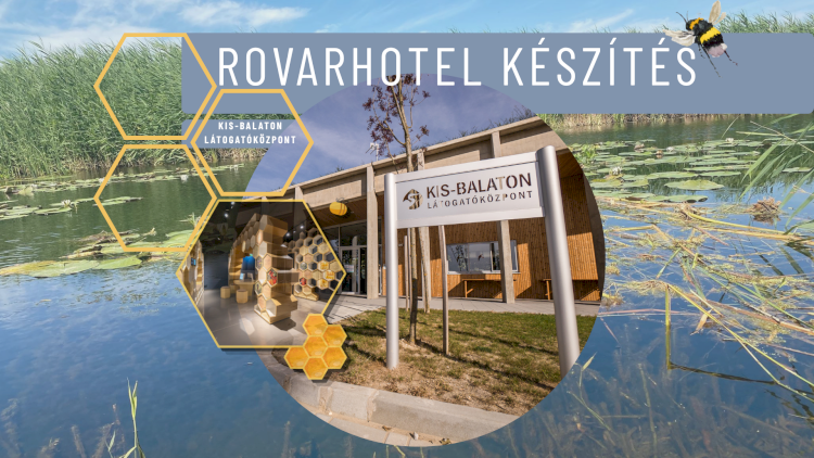 Fókuszban a gyakorlati természetvédelem - Rovarhotel készítés 2026-07-10