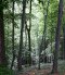Bakony nature trails