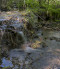 Forest of Balatonfüred Nature Reserve