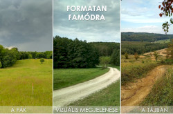 Formatan famódra - 1. ábra