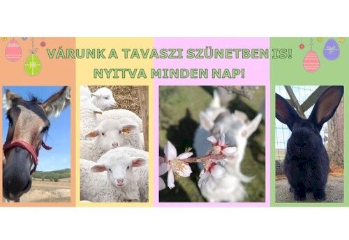 Húsvéti fergeteg a Salföldi Majorban