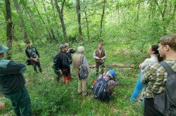 Fotó: Kokics Viktória / WWF Magyarország