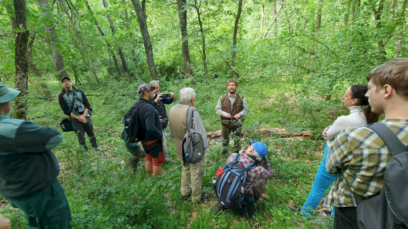 Fotó: Kokics Viktória / WWF Magyarország