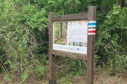 Fotó: Kokics Viktória / WWF Magyarország