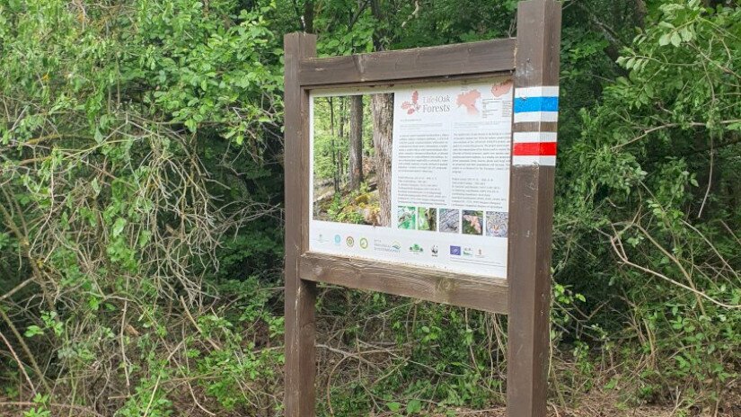 Fotó: Kokics Viktória / WWF Magyarország