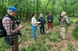 Fotó: Kokics Viktória / WWF Magyarország