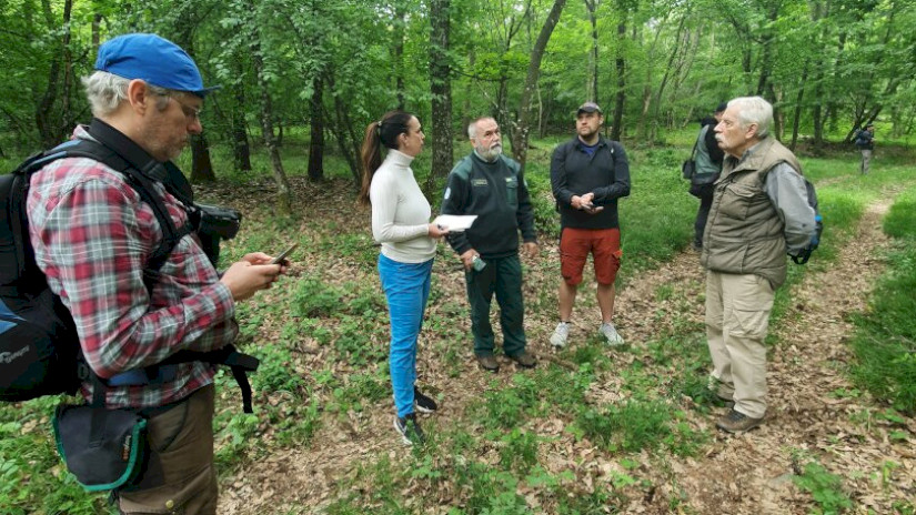 Fotó: Kokics Viktória / WWF Magyarország