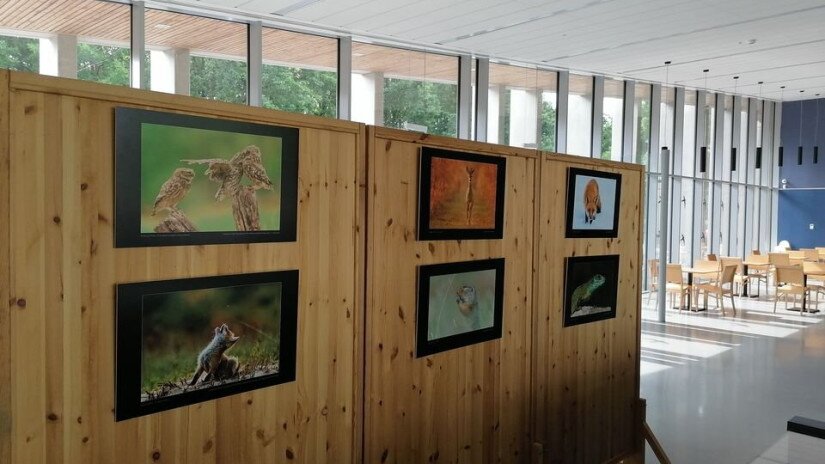 Fotópályázat vándorkiállítása a Kis-Balaton Látogatóközpontban