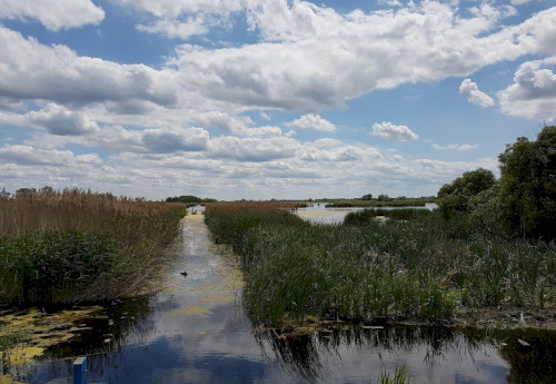 Föld Napja – Nyílt nap a Berek Világa Látogatóközpontban 2026-04-22