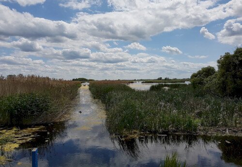 Föld Napja – Nyílt nap a Berek Világa Látogatóközpontban 2026-04-22