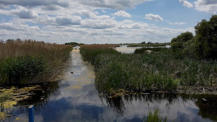 Föld Napja – Nyílt nap a Berek Világa Látogatóközpontban 2026-04-22