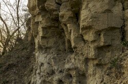 Fotó: Szentmiklósi-Nagy Kornél