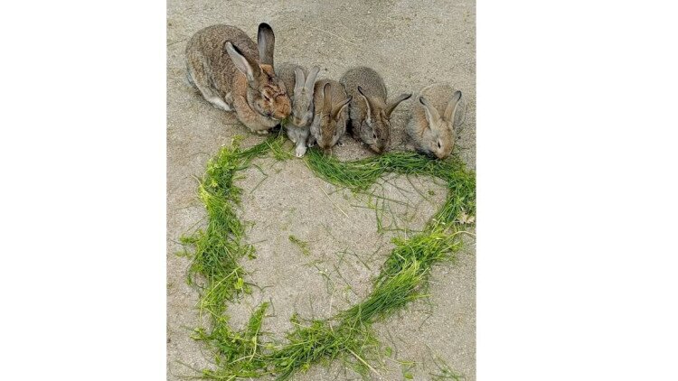 Húsvéti fergeteg a Salföldi Majorban