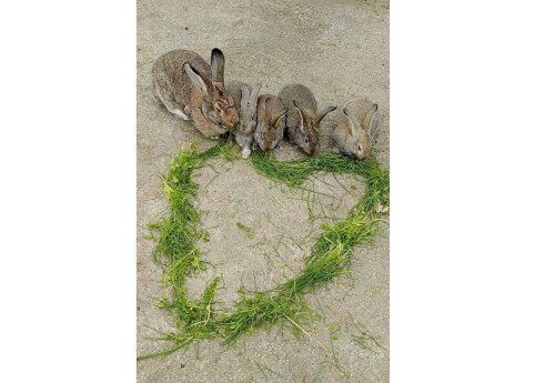 Húsvéti fergeteg a Salföldi Majorban