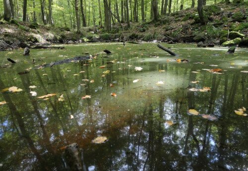 Für Naturschutz geplante Gebiete