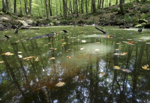 Für Naturschutz geplante Gebiete