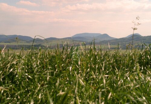 Geführte Wanderungen