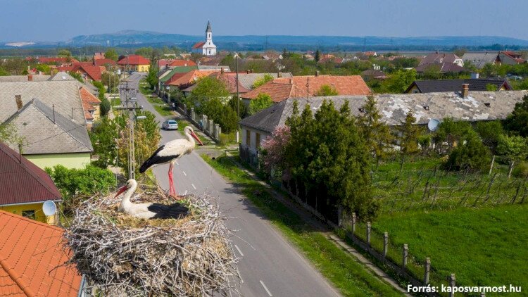 KEHOP-4.1.0-15-2016-00025 Veszélyeztetett madárfajok és denevérfajok megőrzése