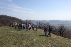 Guided tour in the Káli Basin
