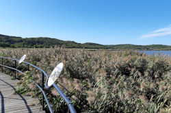 Guided tour on Tihany Peninsula