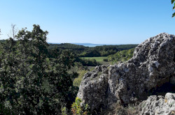 Guided tour on Tihany Peninsula