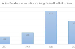 Gyűrűzött sitkék