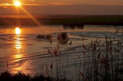 Hajnal a Kis-Balatonon