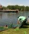 Invazív harcsafaj a Hévízi-tóban