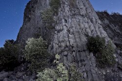 Hegyestű csillagos éggel