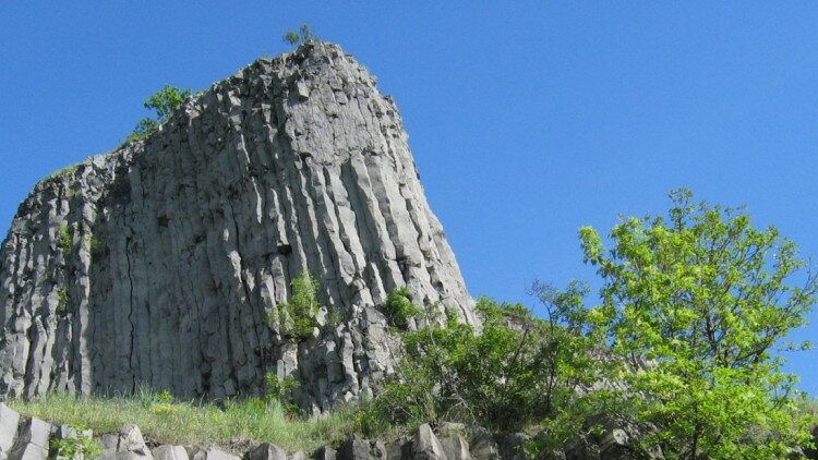 Kedvezmények - Hegyestű
