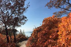 Herbstfarben am Balaton