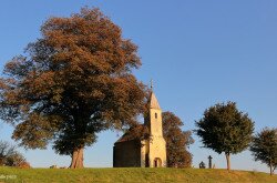 Ilona-kápolna és a kislevelű hárs 