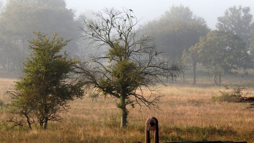 im Herbst Landschaft vom Káli-Becken