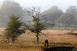 im Herbst Landschaft vom Káli-Becken