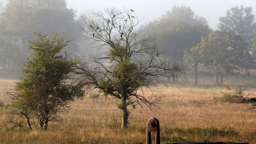 im Herbst Landschaft vom Káli-Becken